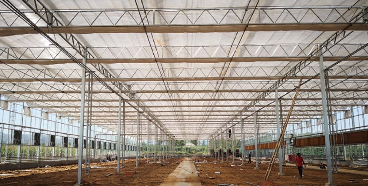 信橋鋼構(gòu)：打卡蒙陰農(nóng)業(yè)溫室大棚、青州黑牛養(yǎng)殖基地！(圖3)